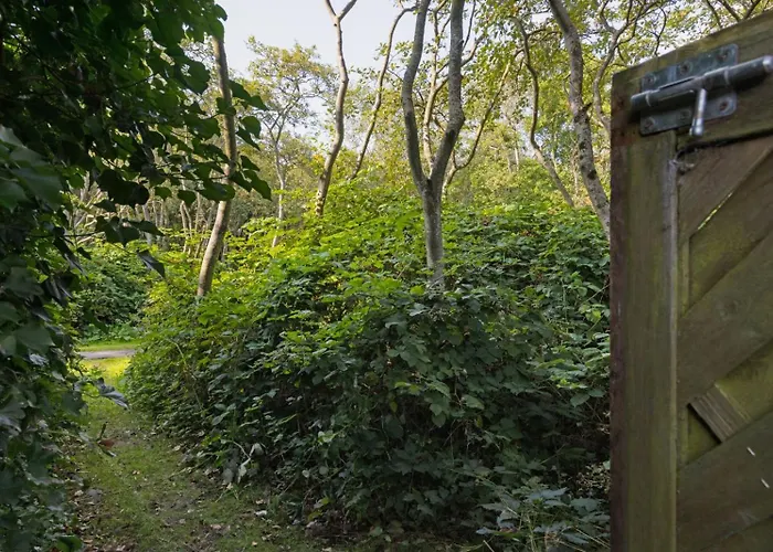 Vakantiehuis Upknappt List